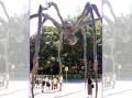 Maman 1999. The Louise Bourgeois work that greets visitors to the Art Gallery of NSW. Picture by Frances Goold.
