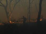 Fire scorched about 185 hectares of land after Powercor failed to maintain vegetation under lines. (Dean Lewins/AAP PHOTOS)