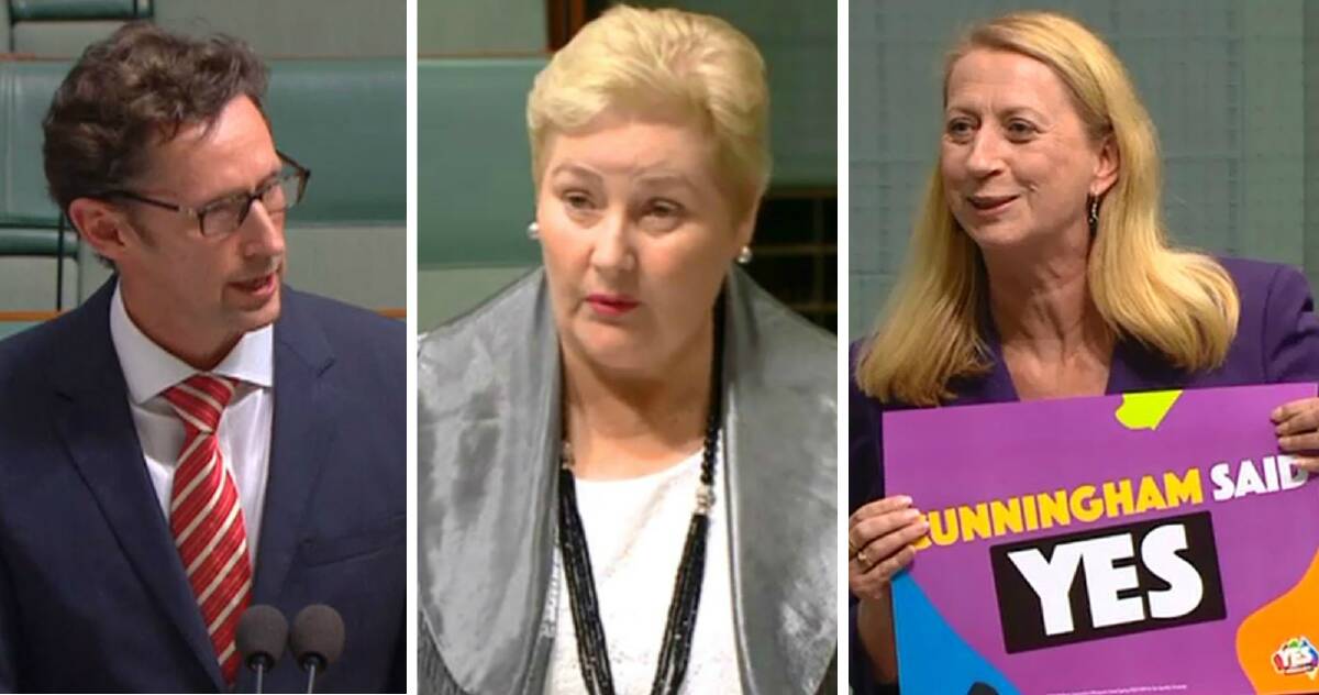 Same-sex marriage debate: what the Illawarra’s federal MPs said