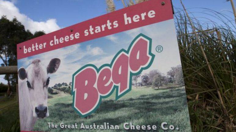 Bega Cheese hit by heavy selling by investors as expansion into baby formula market goes backwards 