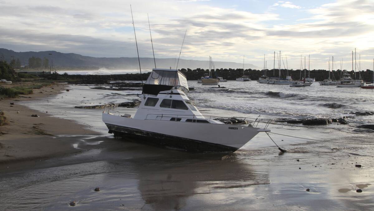 Hammer'n washed up at Wollongong Harbour on Monday. Picture: GREG ELLIS