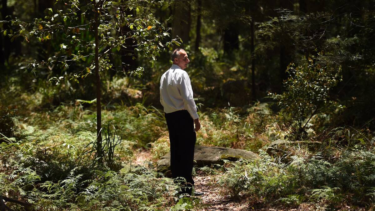 A Detective from the Homicide Squad stands at a crime scene in the Royal National Park. Photo: Kate Geraghty