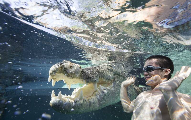 Come as close as humanly possible to these 5-metre long crocodiles, if you dare.