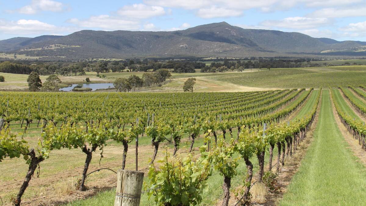 One of Australia’s finest vineyard settings … Mount Langi Ghiran in Victoria’s Grampians.