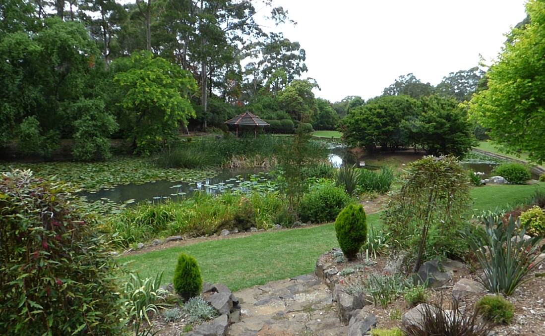 Reader's pic: Illawarra's beautiful Rhododendron Gardens. Picture: Mike Morphett. Send your image to letters@illawarramercury.com.au or tag us via @illawarramerc.