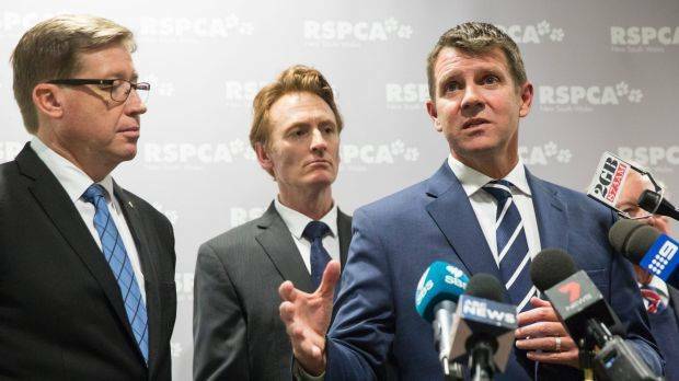 NSW Premier Mike Baird, right, joined by Deputy Premier Troy Grant, left, and RSPCA chief executive Steven Coleman, announcing the details for the greyhound racing transition plan at the RSPCA Centre at Yagoona in Sydney, in July. Photo: JESSICA HROMAS