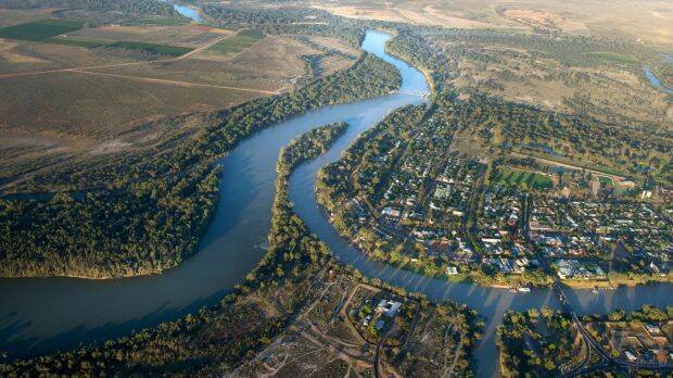 The Murray and Darling rivers meet at Wentworth in NSW. Photo: Justin McManus
