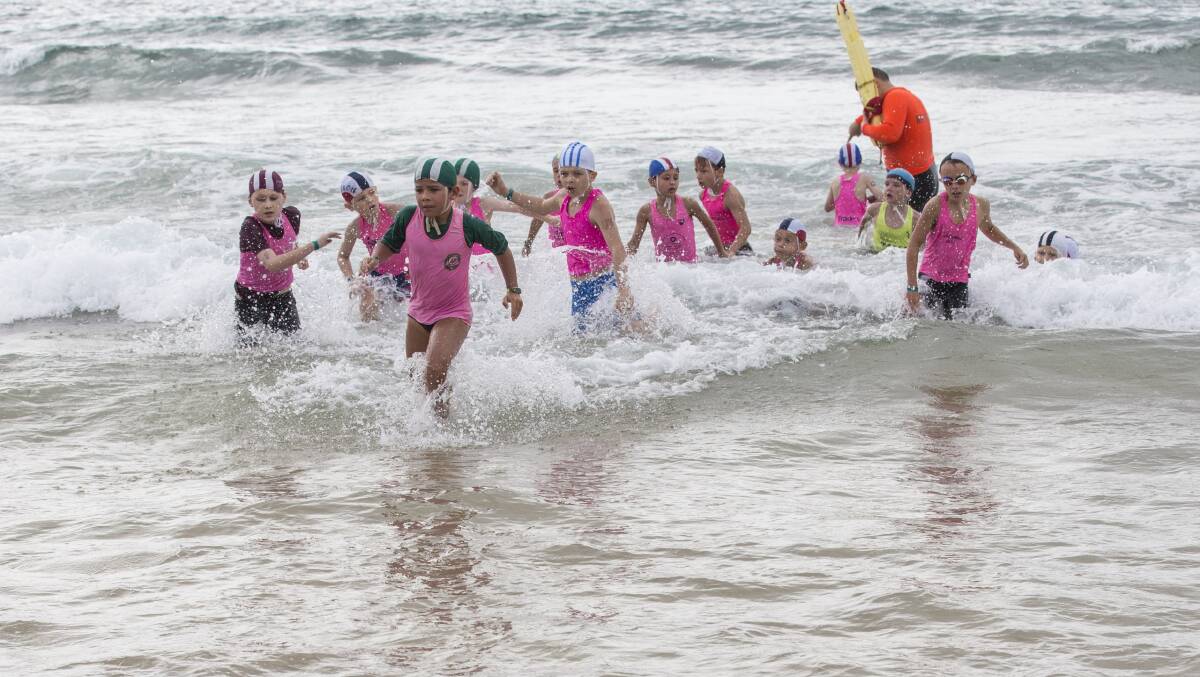 Tight race: Nippers emerge from the water at the Illawarra Branch Championships on Saturday. Picture: Doug Hamill.