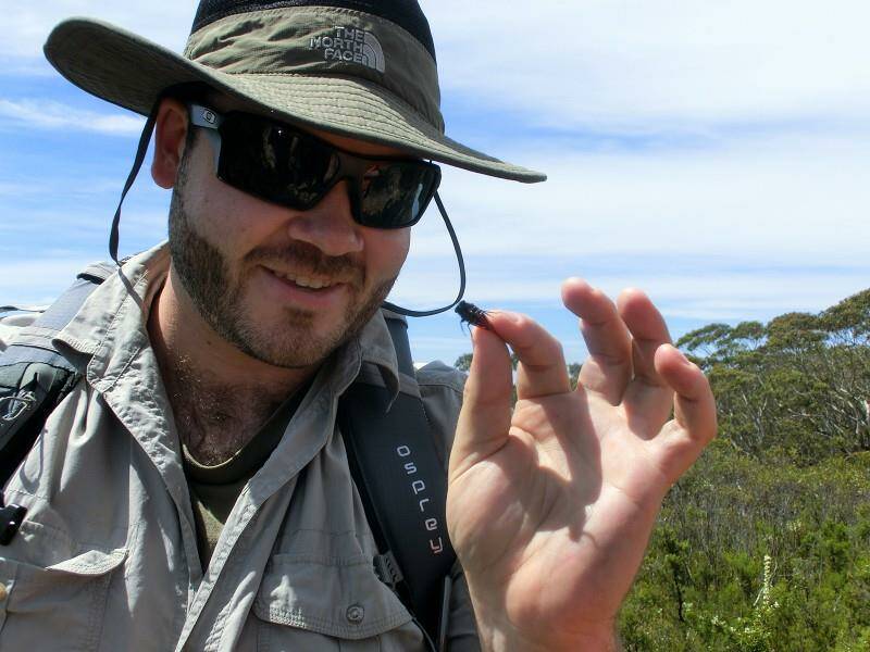 Bug catcher: Plant scientist and cicada researcher Dr Nathan Emery out in the field. Picture: Alison Foster