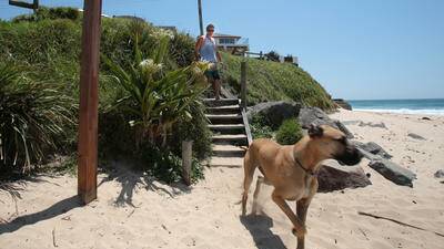 Beach patrol to get ruff for dog owners
