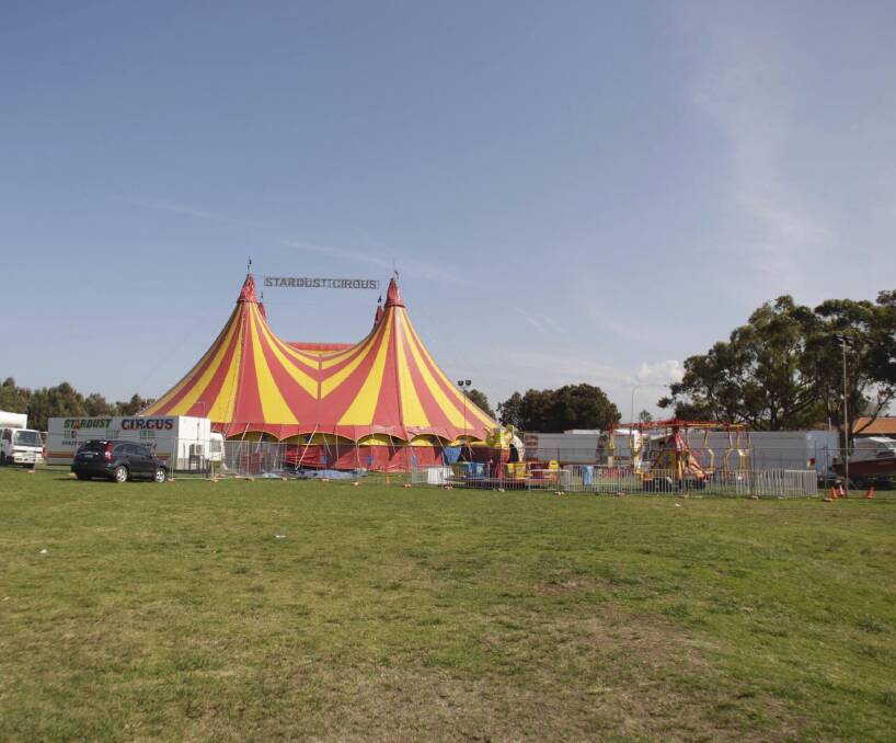 Call for ban: PETA has called for Wollongong council to ban all circuses with live animals, including Stardust Circus which is currently on at Warrawong's Kully Bay. Picture: Georgia Matts.
