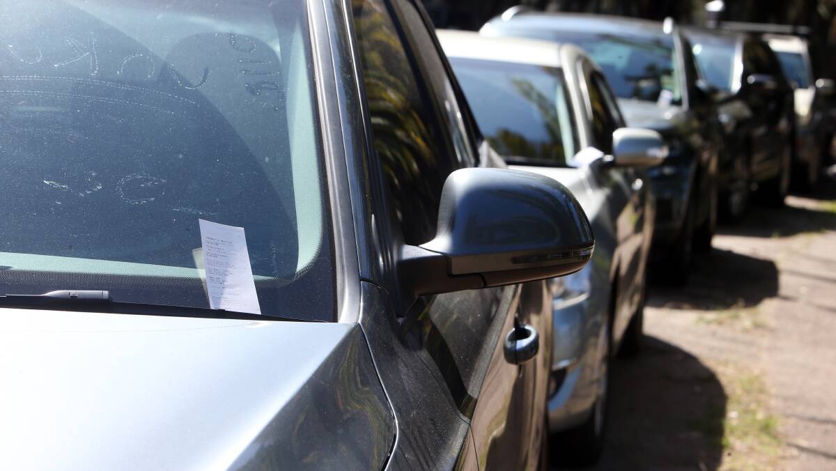 Tickets: On New Year's Day, rangers handed out fines to those who parked on the grass at Stuart Park after parking spaces filled up. 