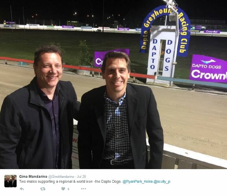 A tweet - picturing Paul Scully and Ryan Park - from Anna Watson's chief of staff Gino Mandarino after Luke Foley attended the Dapto Dogs several weeks ago.