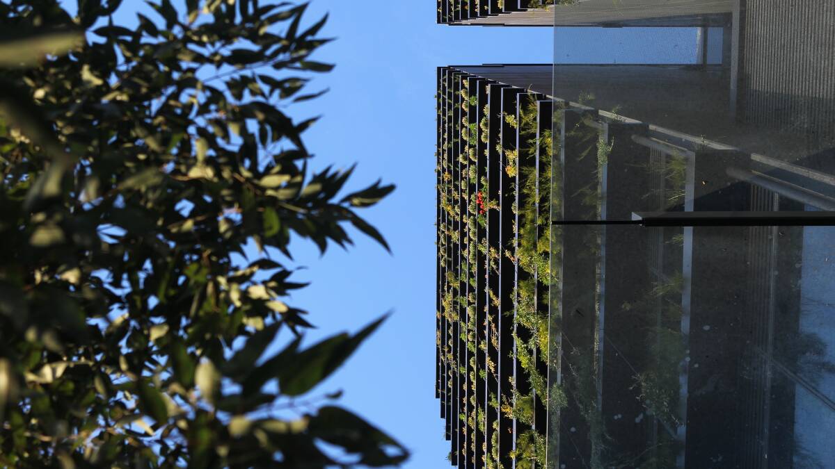 The vertical garden at One Central Park in Chippendale. Wollongong City Council is encouraging the use of green roofs and walls in new developments.