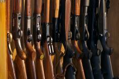 Gun owner avoids court conviction