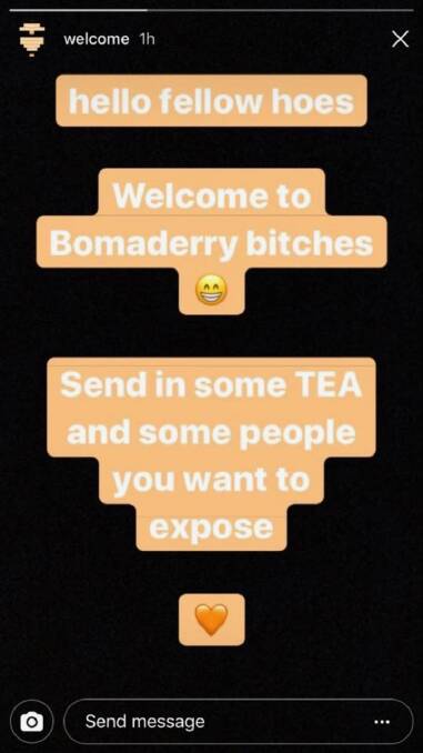 Bomaderry Bitches on Instagram, before it was removed. 'Tea' is another word for gossip.