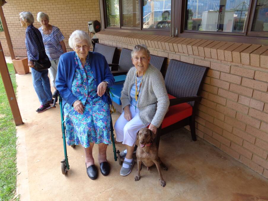 DOTED ON: Mary Campbell and Marguerita Kotzur at Mayflower, Gerringong, with pup Zach, who spends weekdays with aged care residents. Picture: Contributed
