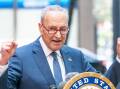 Democratic Senate majority leader Chuck Schumer this week broke ranks with the Biden administration over Israel. Picture Shutterstock