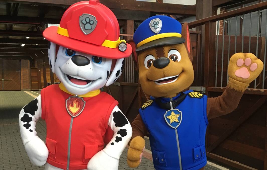 Meet these two from Paw Patrol this weekend. Picture: Supplied