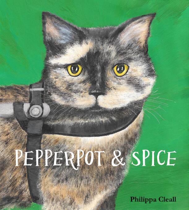 LOVABLE CHARACTER: Spice can't use his back legs but that won't stop him - he has wheels to help him get around. Picture: Illustration by Philippa Cleall