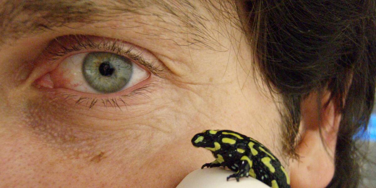 LIFE SAVER: Dr Byrne will speak at 'Uni in the Brewery' about trying to save endangered frogs and how they have personalities. The Illawarra Brewery, Wednesday September 28 from 5:30pm, FREE. Picture: Supplied