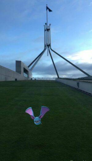 Kayza Grenfell captured this Zubat hanging out at Parliament House. Photo: Kayza Grenfell