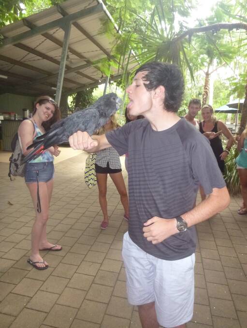 MUCH-LOVED: Michael Jones shows his fun and cheeky side to a parrot on a family holiday on Magnetic Island. The 18-year-old lived every moment to its fullest.