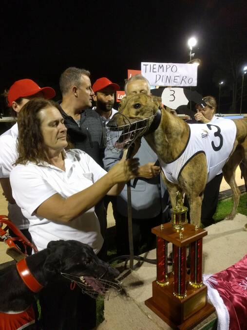 GUN: Tiempo Dinero won Nowra's Puppy Classic. Picture: thedogs.com.au