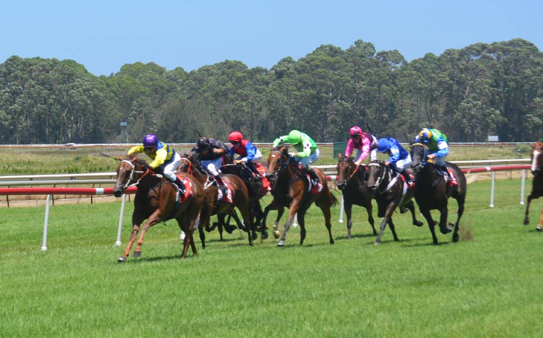 RACING CLEAR: Case, trained by Paul Murray and ridden by Jeff Penza, takes out the opening event on Moruya Cup day. Picture: SEAN SLATTER