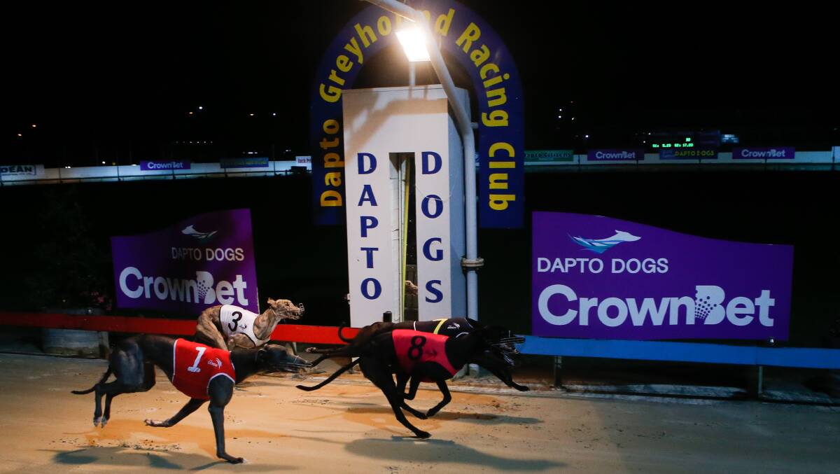 SUCCESS: Let It Develop, trained by Jodie and Andy Lord, took out the Group 1 Dapto Megastar. Picture: ADAM McLEAN