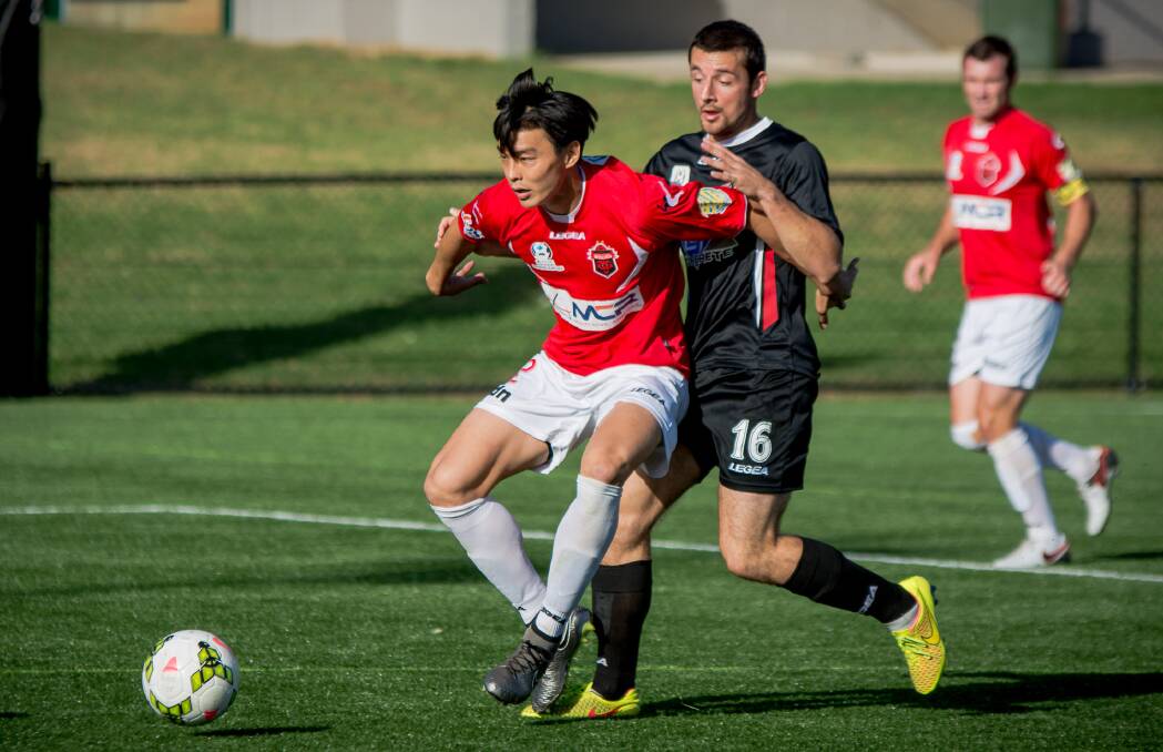LAST TIME: Wollongong's Kota Kawase shields the ball during the Wolves 3-0 loss to Blacktown City earlier in the season. Picture: Football NSW/Corina Dodovski