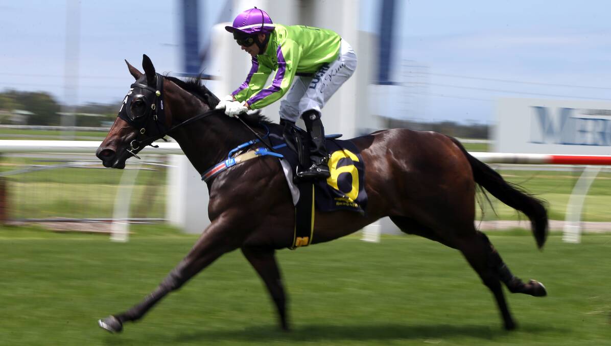 POTENTIAL: Gai Waterhouse could have a star in the making with two-year-old winner Global Glamour. Picture: SYLVIA LIBER
