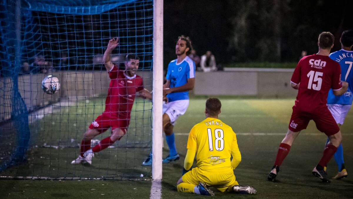 DEADLOCKED: Wollongong's Taylor McDonald celebrates the Wolves' second goal in their draw with Sutherland Sharks at Seymour Shaw Park. Picture: FOOTBALL NSW