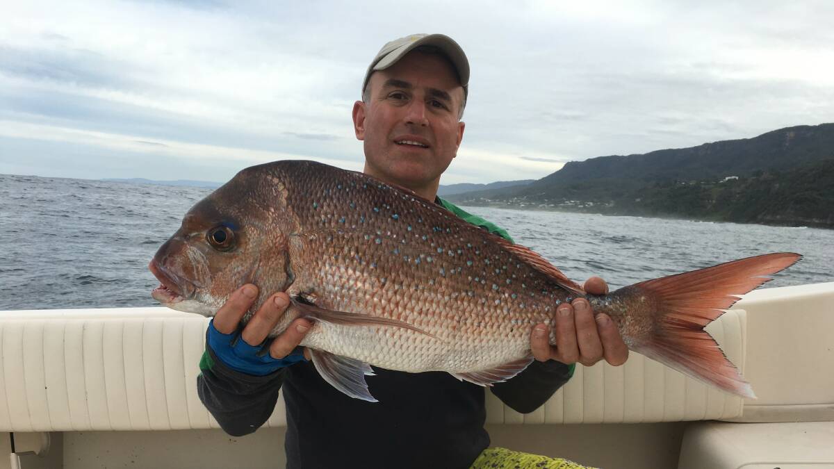 Reel it in: Allan Mekisic with a 65cm snapper caught by jigging a jerk shad plastic off Clifton. 