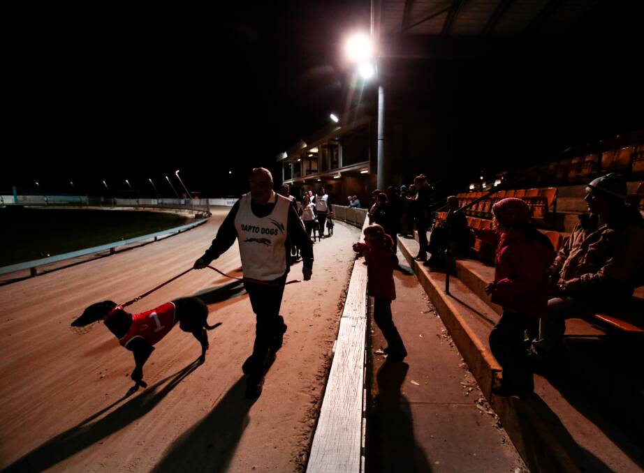 Out of the dark: Iconic Dapto greyhounds has a future after the decision to reverse the Baird NSW Government ban on the sport this week. Picture: Adam McLean