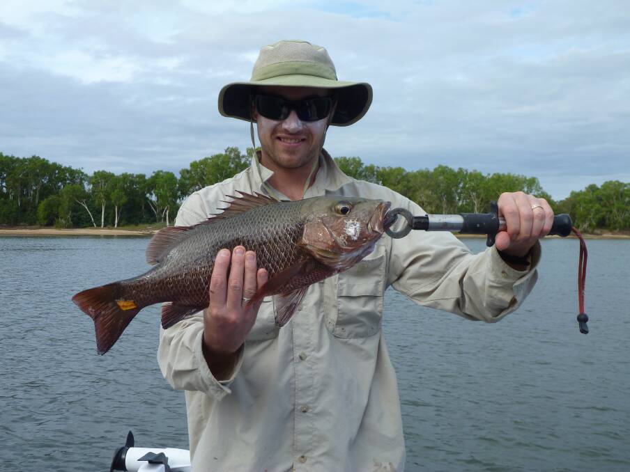Reeled in: Luke Pascott with a hard-fighting mangrove jack from a trip up north.