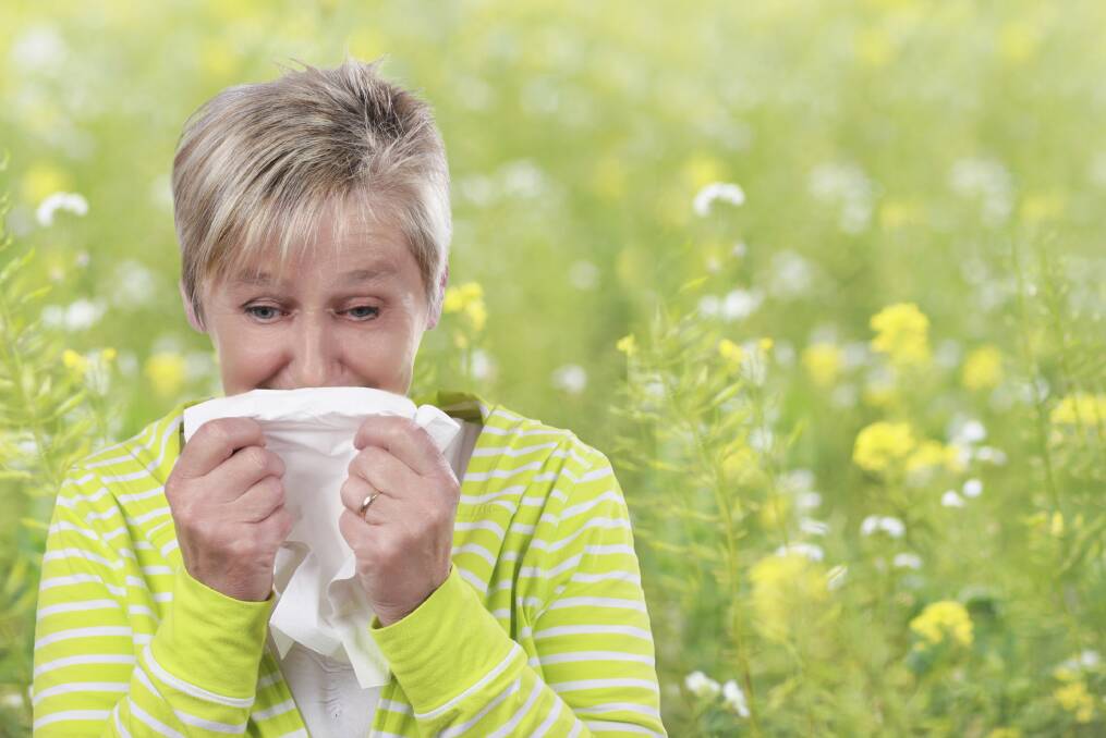 Ahh choo!: Symptoms such as sneezing, a runny nose and watery eyes are very common in the springtime due to the extra pollen that is in the air.
