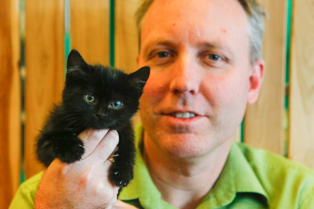 GOOD FRIDAY: The kitten has vet Matt Young to thank for her second chance at life. Picture: Adam McLean