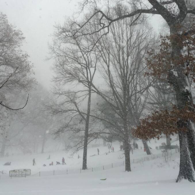 The storm created a winter wonderland for visitors to Central Park. Picture: Renee Bartsch