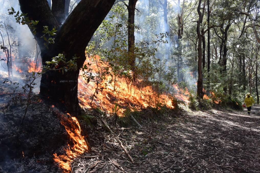 A thick layer of dead, dry matter goes up in flames at Austinmer. Picture: Angela Thompson