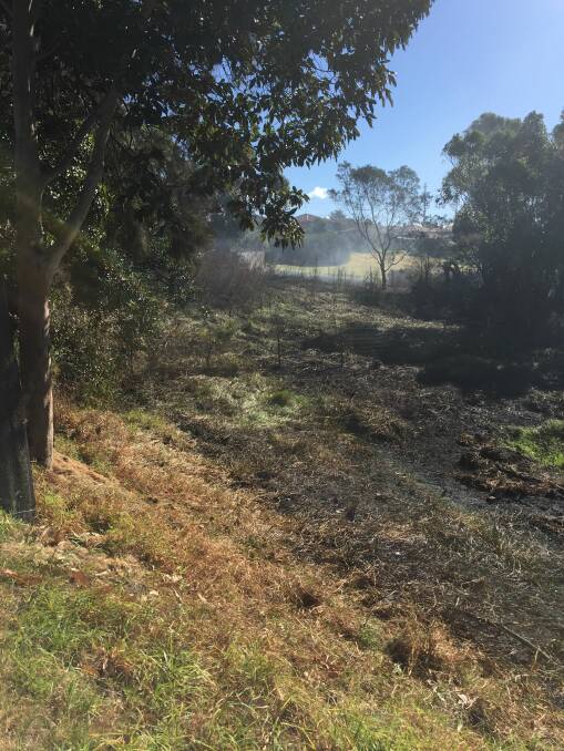 The fire blackened a large area of scrub before it was extinguished. Picture: Desiree Savage