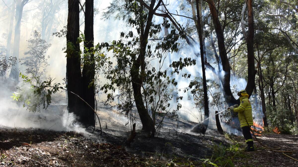 A firefighter quells the flames in bushland at Austinmer. Picture: Angela Thompson