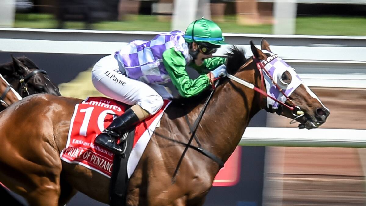 Triumph: Jockey Michelle Payne as she rides Melbourne Cup winner Prince of Penzance to the post. Picture: Justin McManus