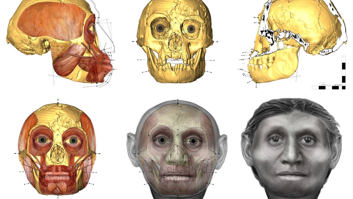 From skull to skin - Dr Hayes works with the skeletal remains of modern humans and ancient hominins to approximate their facial appearance.


