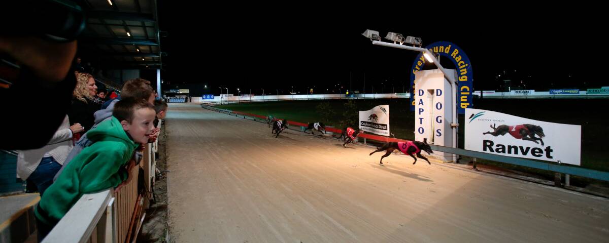 RACING THE CLOCK: Group racing returns this Thursday for the semi-finals of the Centrebet Dapto Maiden series.  Picture: ADAM McLEAN