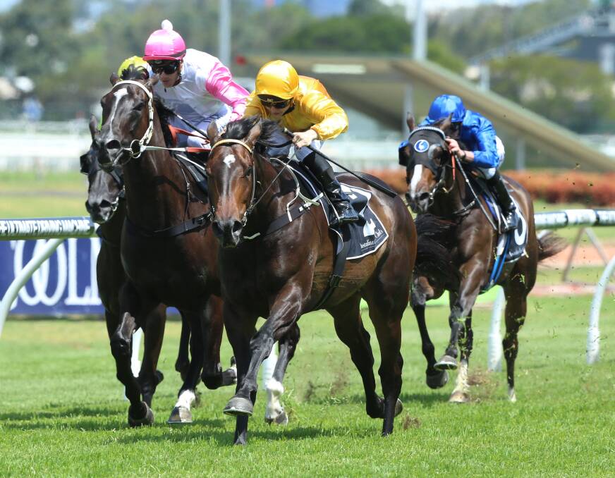 Heartings (white and pink) at Rosehill. Photos: Bradleyphotos.com.au .