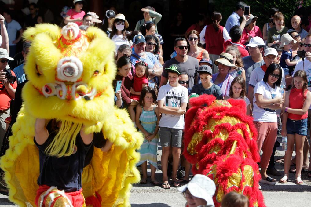 TRADITION: Lion dances will be part of free celebrations held at Nan Tien Temple to mark Lunar New Year. Picture: Sylvia Liber