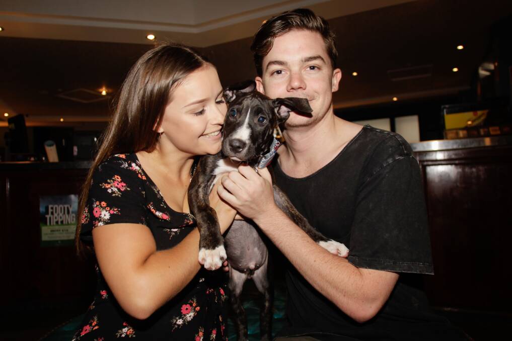 Puppy love: Georgia Mills from Towradgi and Dean Majoor from Corrimal enjoy some smooches and cuddles at Mr Crown on Sunday.