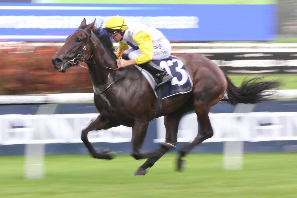PROMISING TYPE: Jockey Chad Lever rode Pomelo to victory in the Provincial Championships Qualifier at Rosehill Gardens racecourse. Photo: bradleyphotos.com.au .