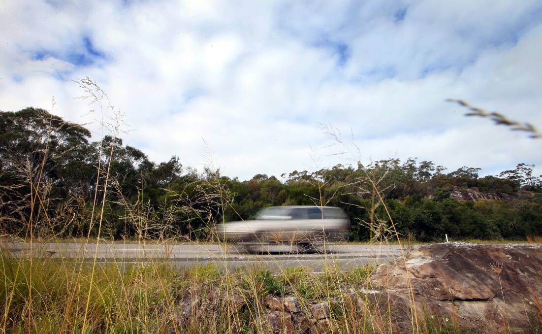 No through road: Bulldozing through the Royal National Park instead of upgrading the rail line drew a chorus of opposition on Wednesday. Picture: Sylvia Liber